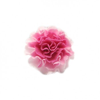 Pink Mixed Carnation